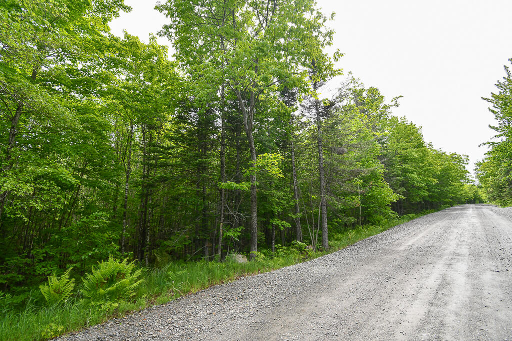 0 Campbell Road Harmony, ME 04942 - Photo 6 of 21 DSC_1889