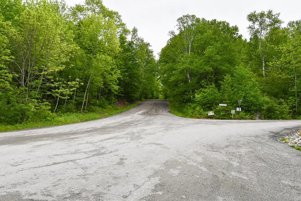 0 Campbell Road Harmony, ME 04942 - Photo 9 of 21 DSC_1898