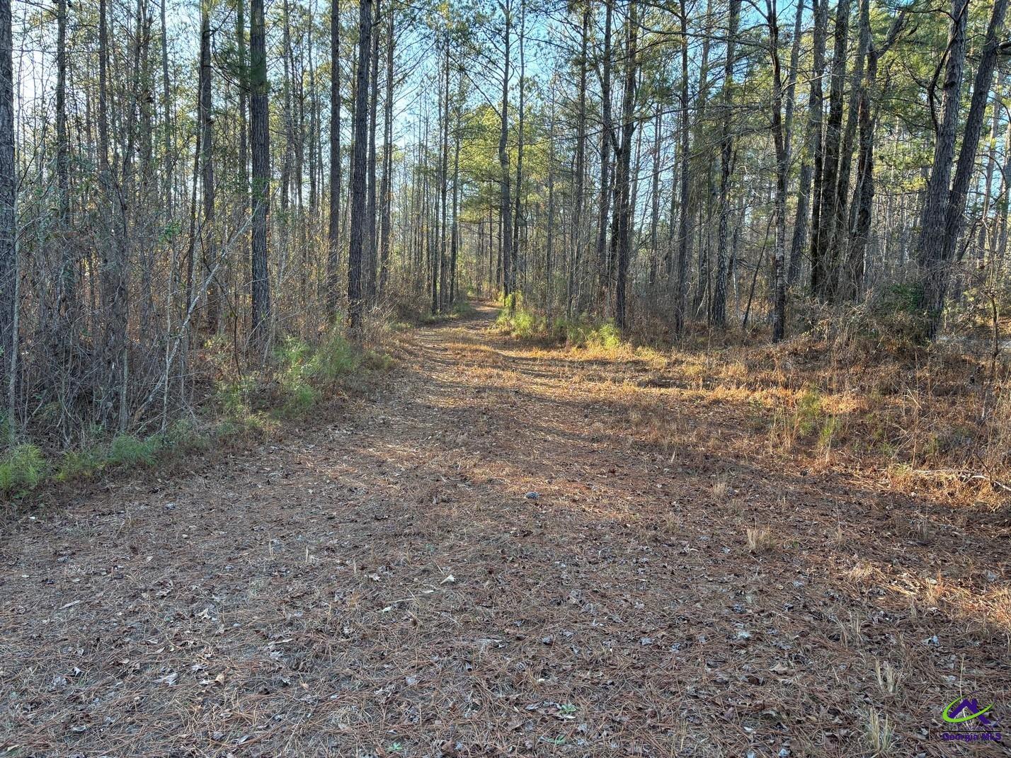 1351 Dixon Road Roberta, GA 31078 - Photo 3 of 26