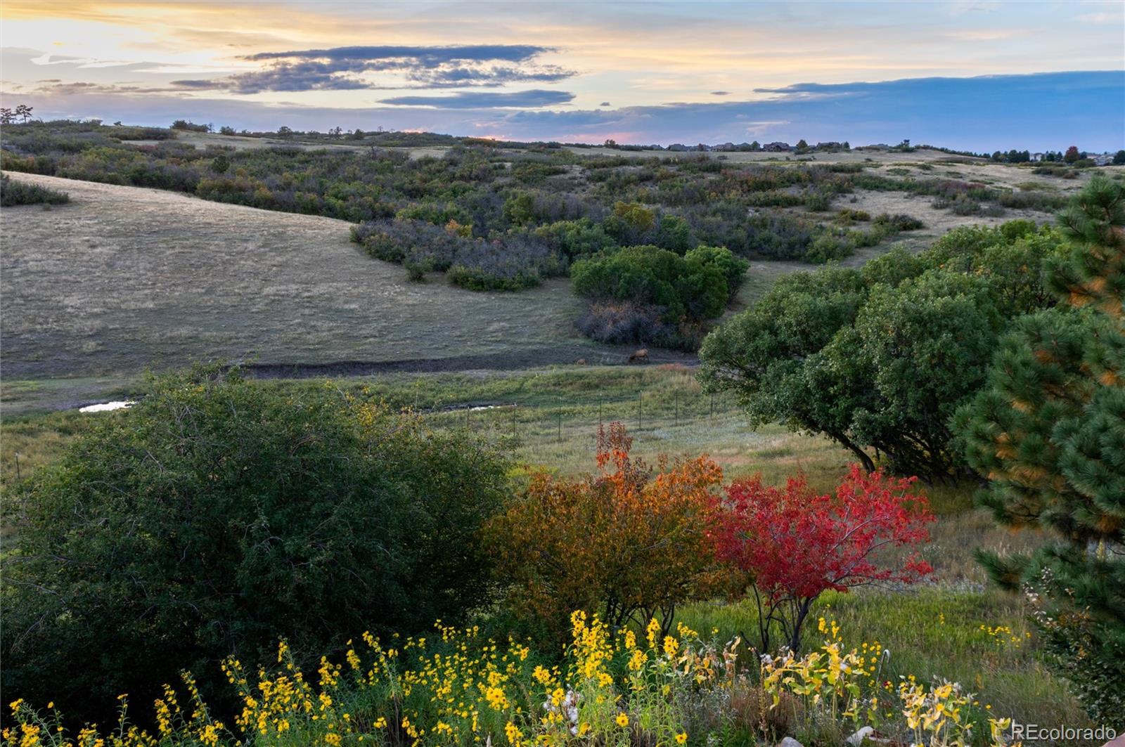 13079 Whisper Canyon Road Castle Pines, CO 80108 - Photo 46 of 50 a view of a lake with a city