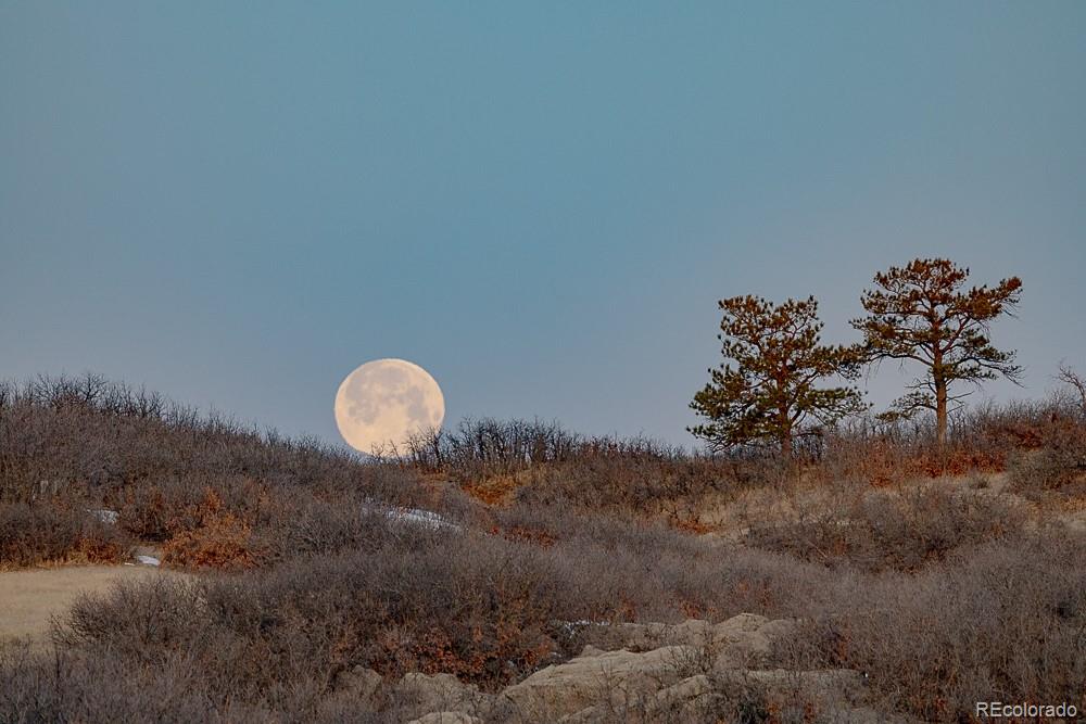 13079 Whisper Canyon Road Castle Pines, CO 80108 - Photo 50 of 50 a view of a dry yard with lots of bushes