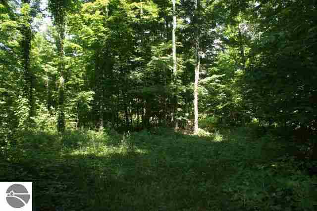 8161 Crisp Road Williamsburg, MI 49690 - Photo 24 of 25 1783886-23.JPG