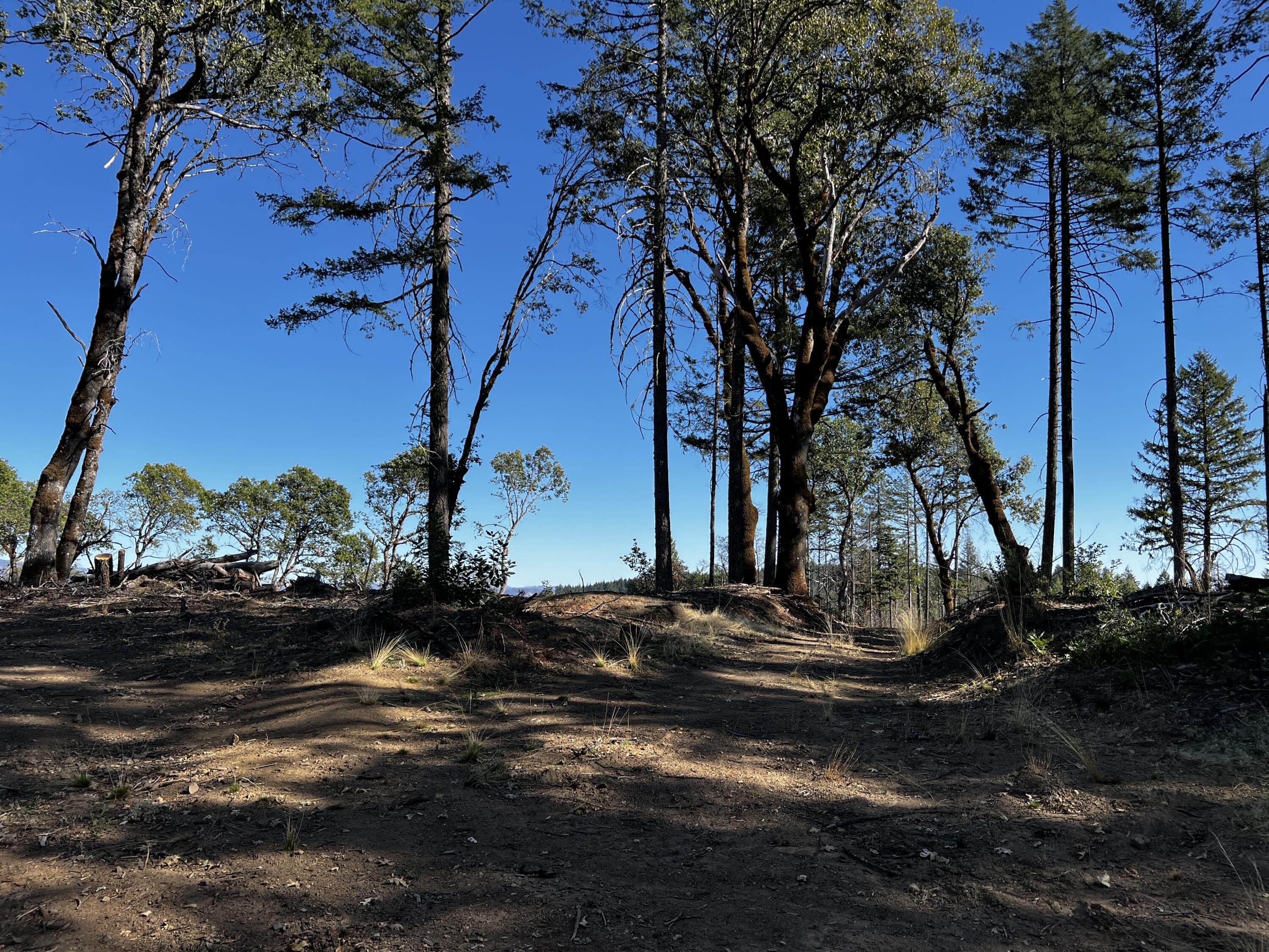80-acre Bluff Creek Road Zenia, CA 95595 - Photo 15 of 27