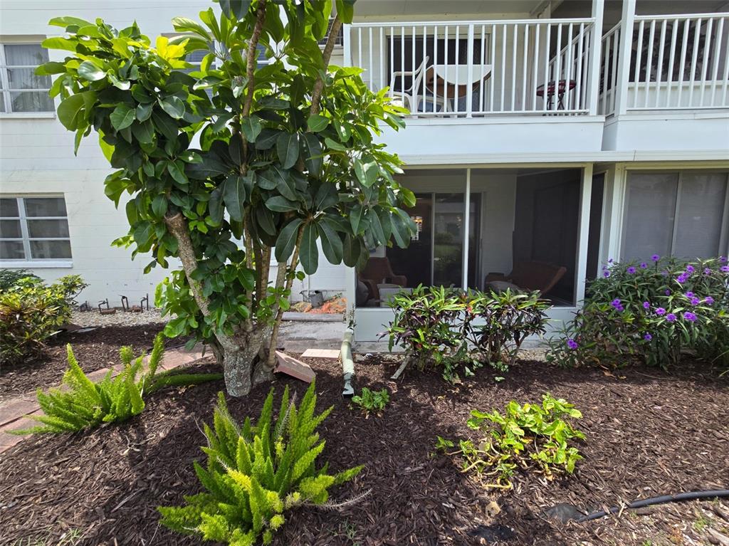 a house with a flower garden