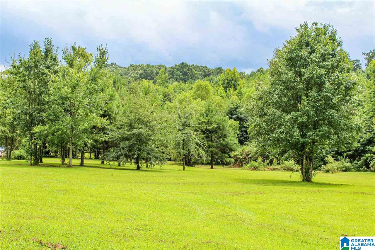 460 Thomas Road Altoona, AL 35952 - Photo 5 of 27