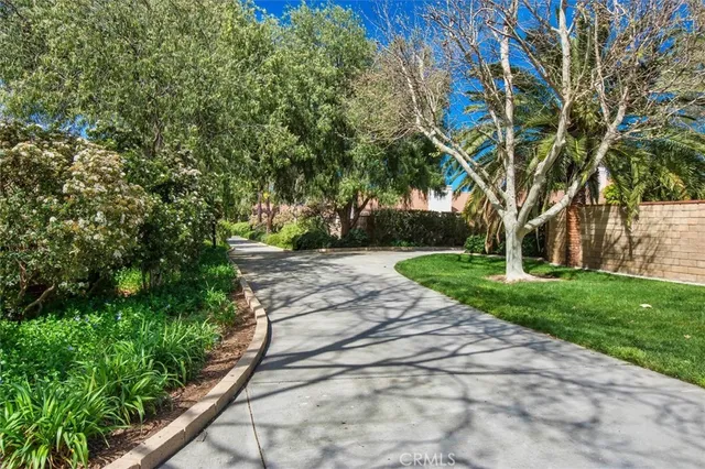 a view of a park with large trees