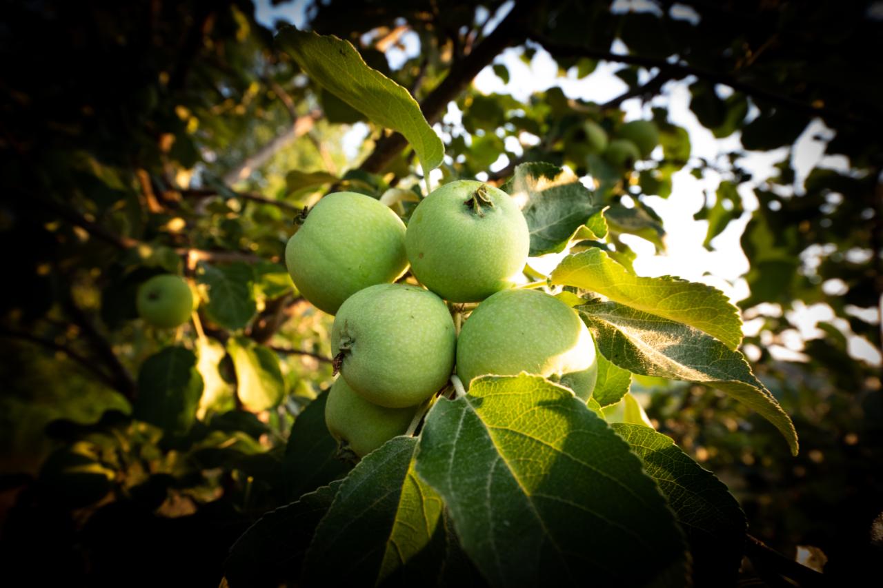 Near Near Lane Road Phillips, WI 54555 - Photo 21 of 60 Gallery Image 21