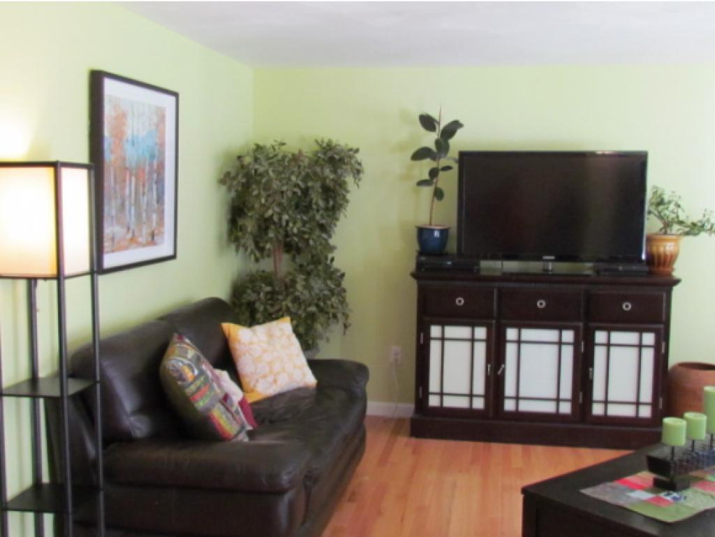 51 B Windham Road, Unit 51B Hudson, NH 03051 - Photo 3 of 22