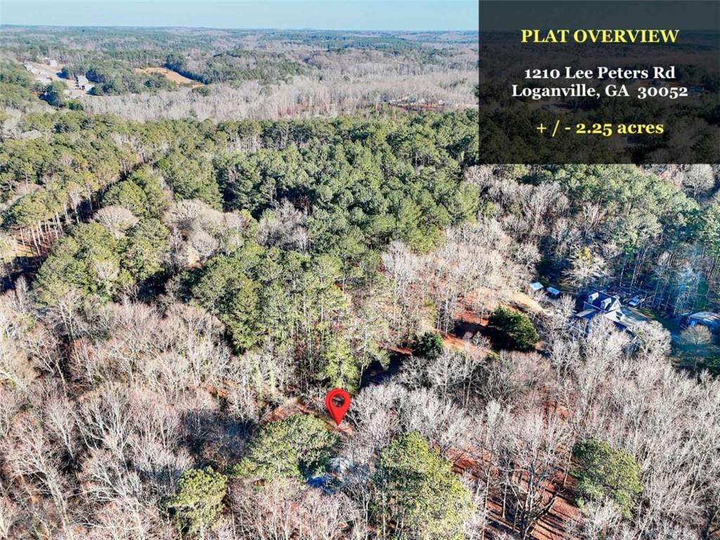 1210 Lee Peters Road Loganville, GA 30052 - Photo 31 of 32 a view of a tree in a field