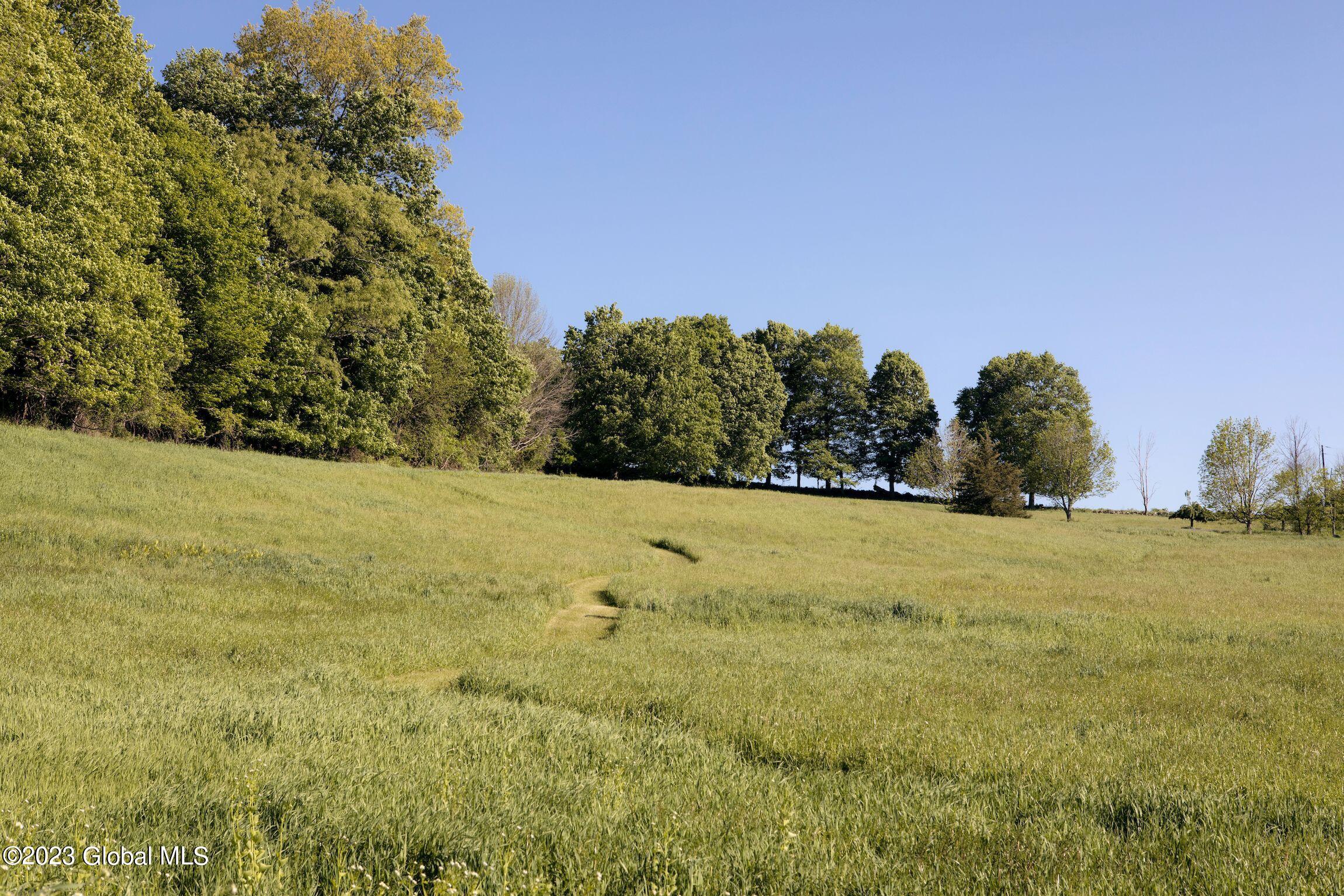 1554 Boston Corners Road Millerton, NY 12546 - Photo 34 of 36 photo_online_034