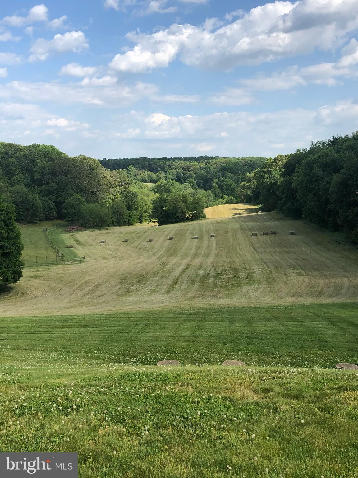 3239 Dry Branch Road White Hall, MD 21161 - Photo 54 of 56 a view of an outdoor space and yard