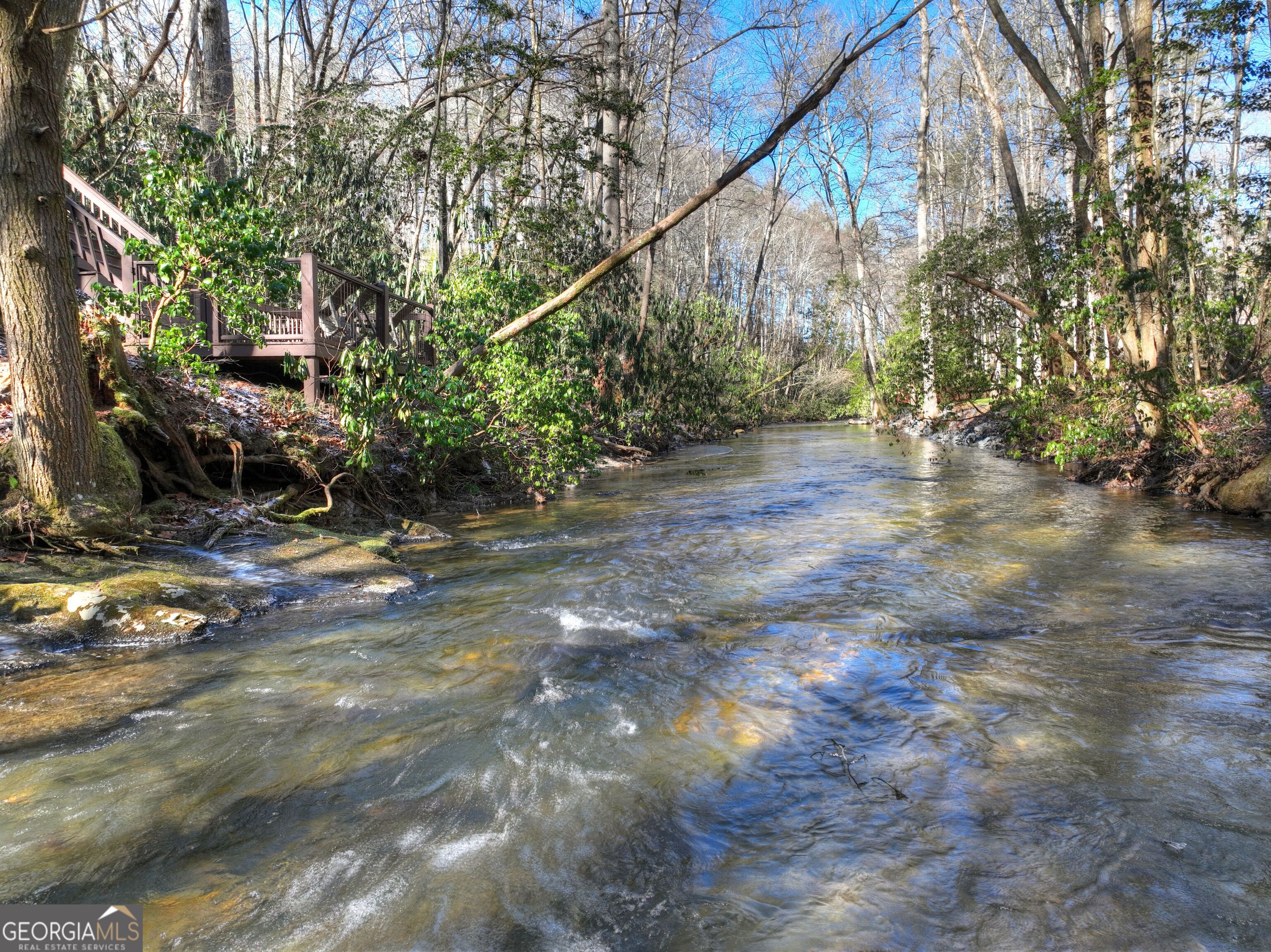 134 Hemlock Circle, Unit 54 Blue Ridge, GA 30513 - Photo 6 of 43 a view of a forest with trees