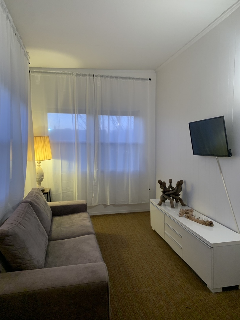 5259 West Roscoe Street, Unit 1F Chicago, IL 60641 - Photo 50 of 53 a living room with a couch and a flat screen tv