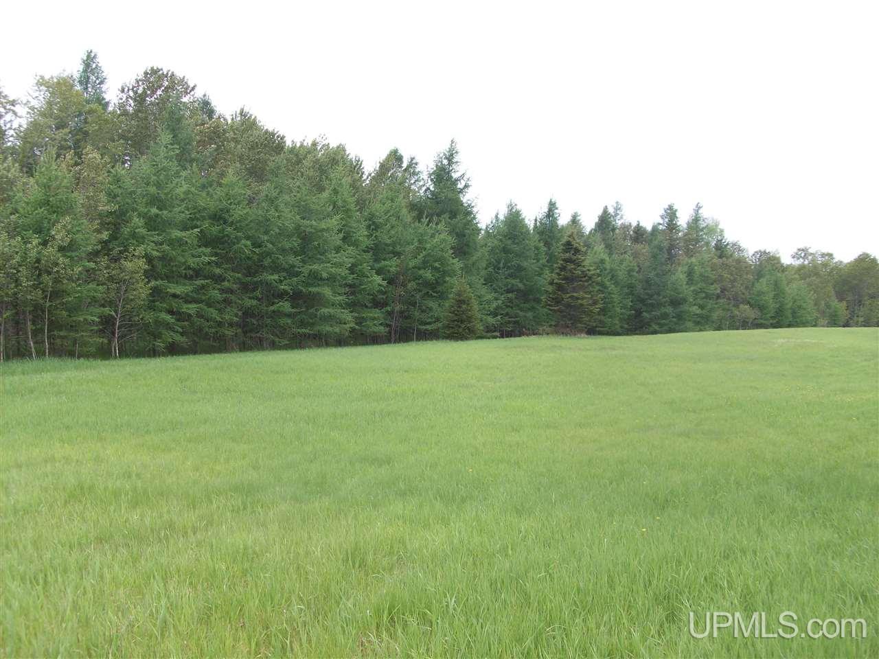14525 Di Road Rock, MI 49880 - Photo 16 of 16