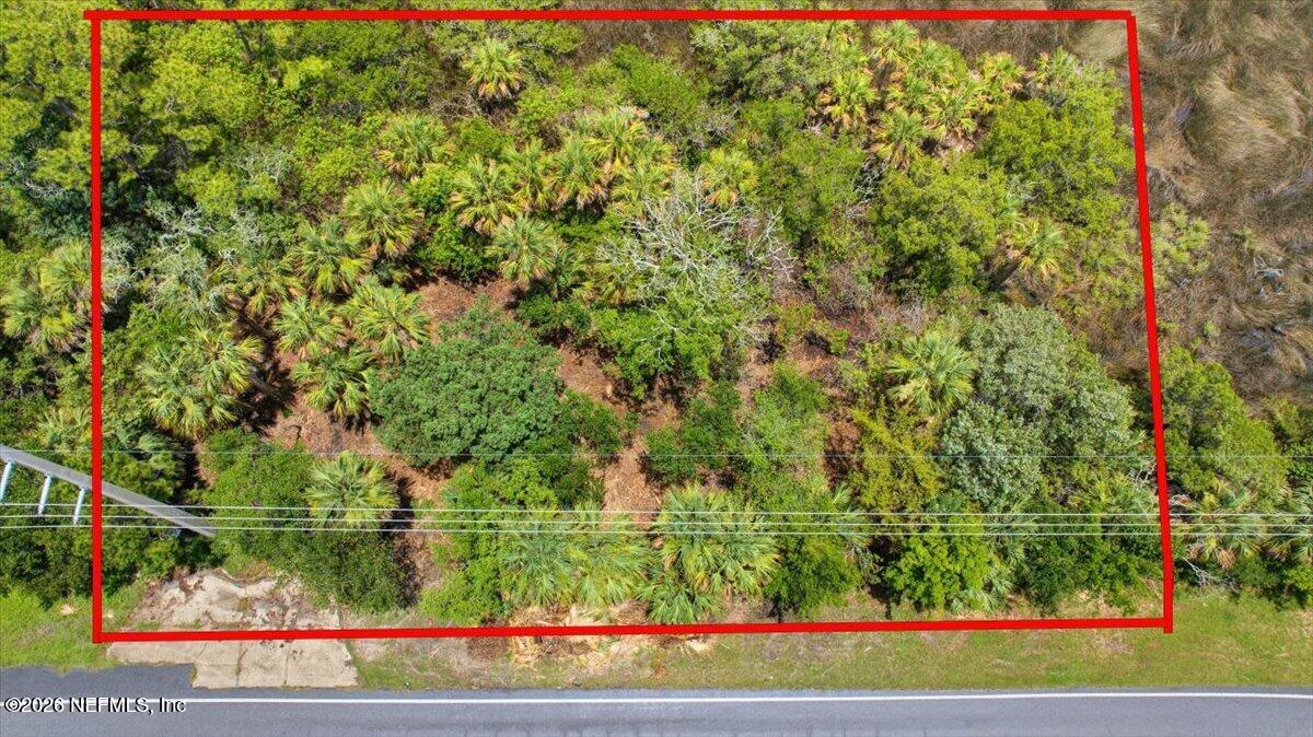 3258 Lewis Speedway St. Augustine, FL 32084 - Photo 8 of 10 a view of a garden