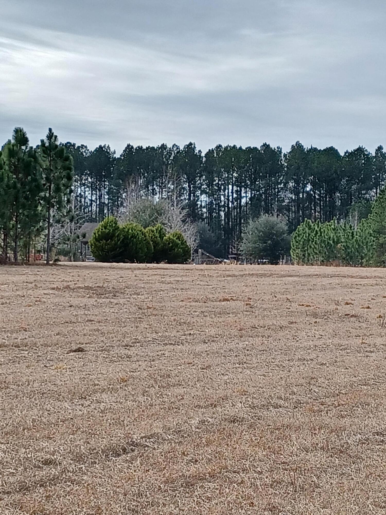 1545 Gator Lake Road Manning, SC 29102 - Photo 1 of 9 20220125_115231