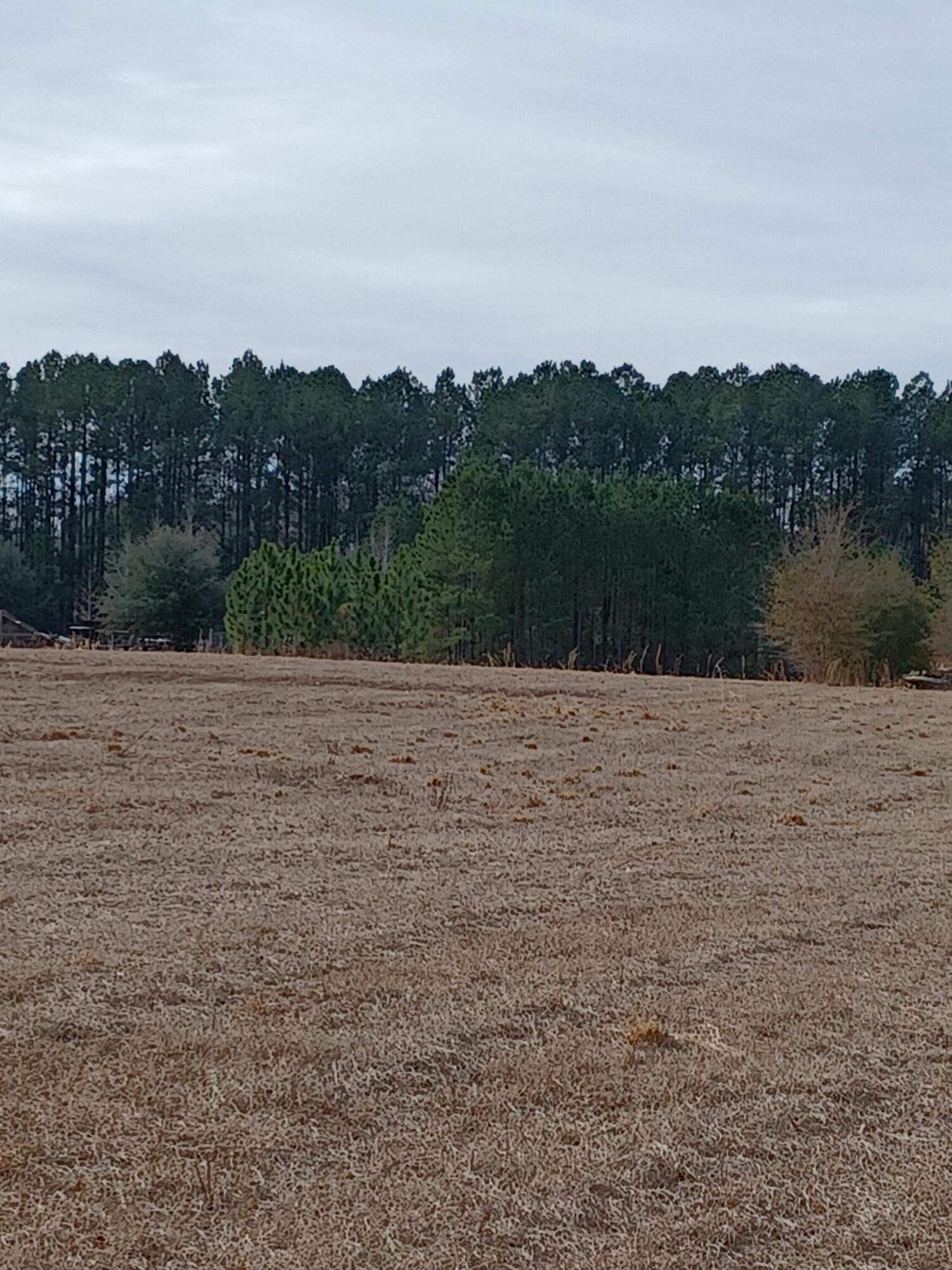 1545 Gator Lake Road Manning, SC 29102 - Photo 6 of 9 20220125_115227