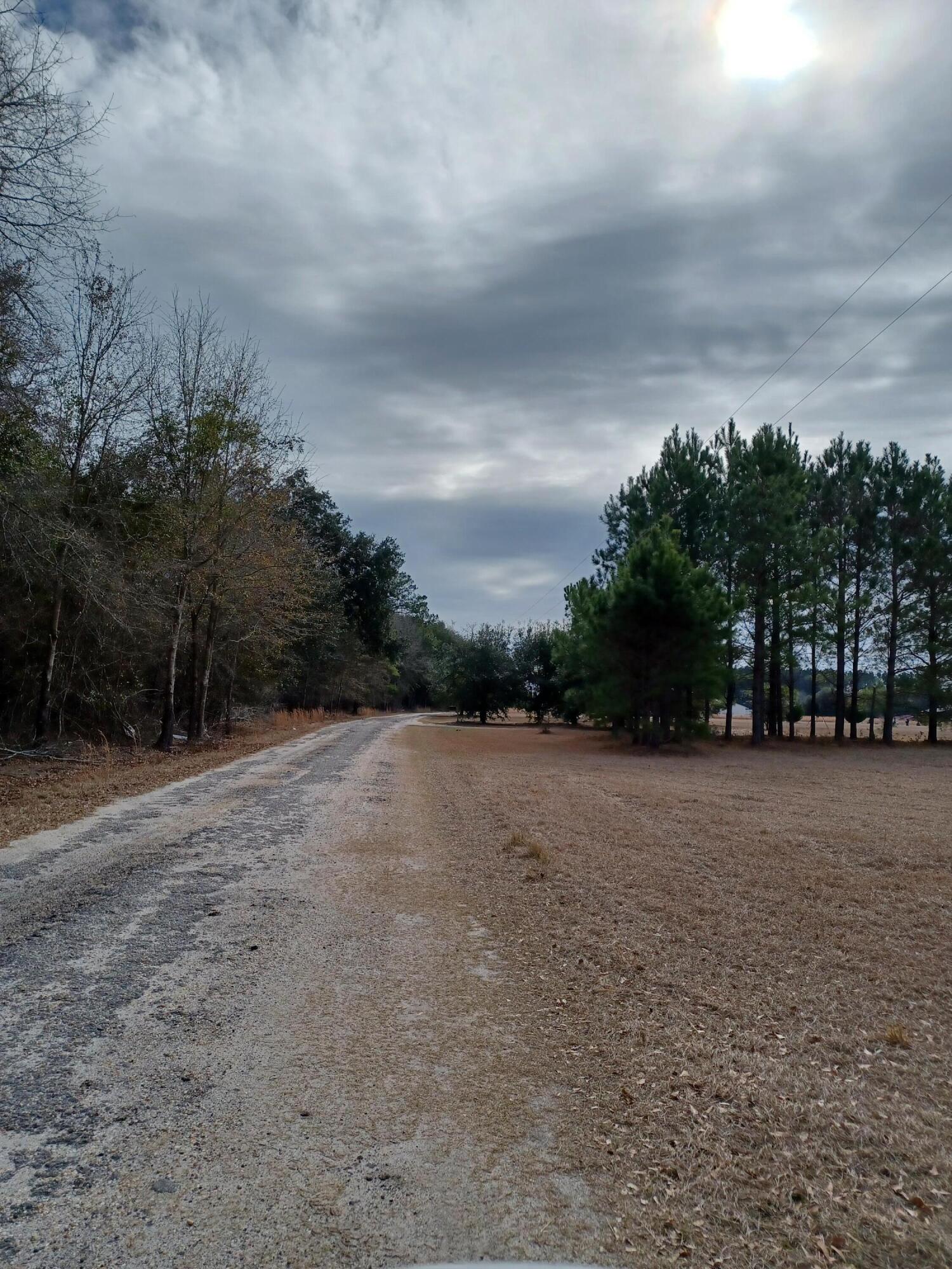 1545 Gator Lake Road Manning, SC 29102 - Photo 7 of 9 20220125_115324