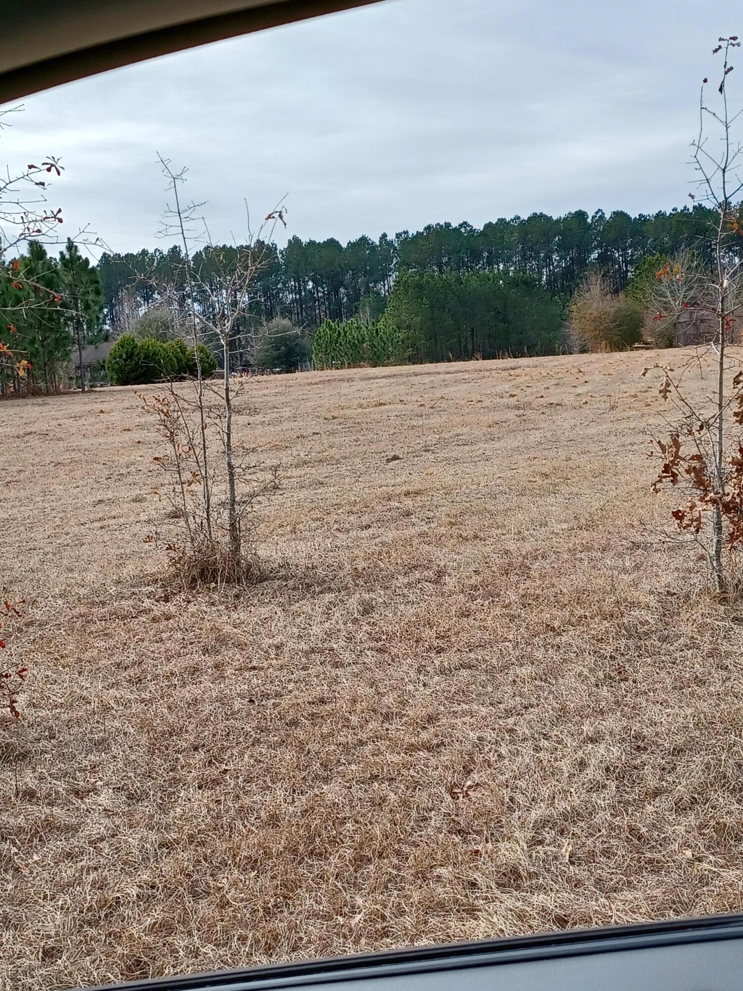 1545 Gator Lake Road Manning, SC 29102 - Photo 8 of 9 20220125_115407