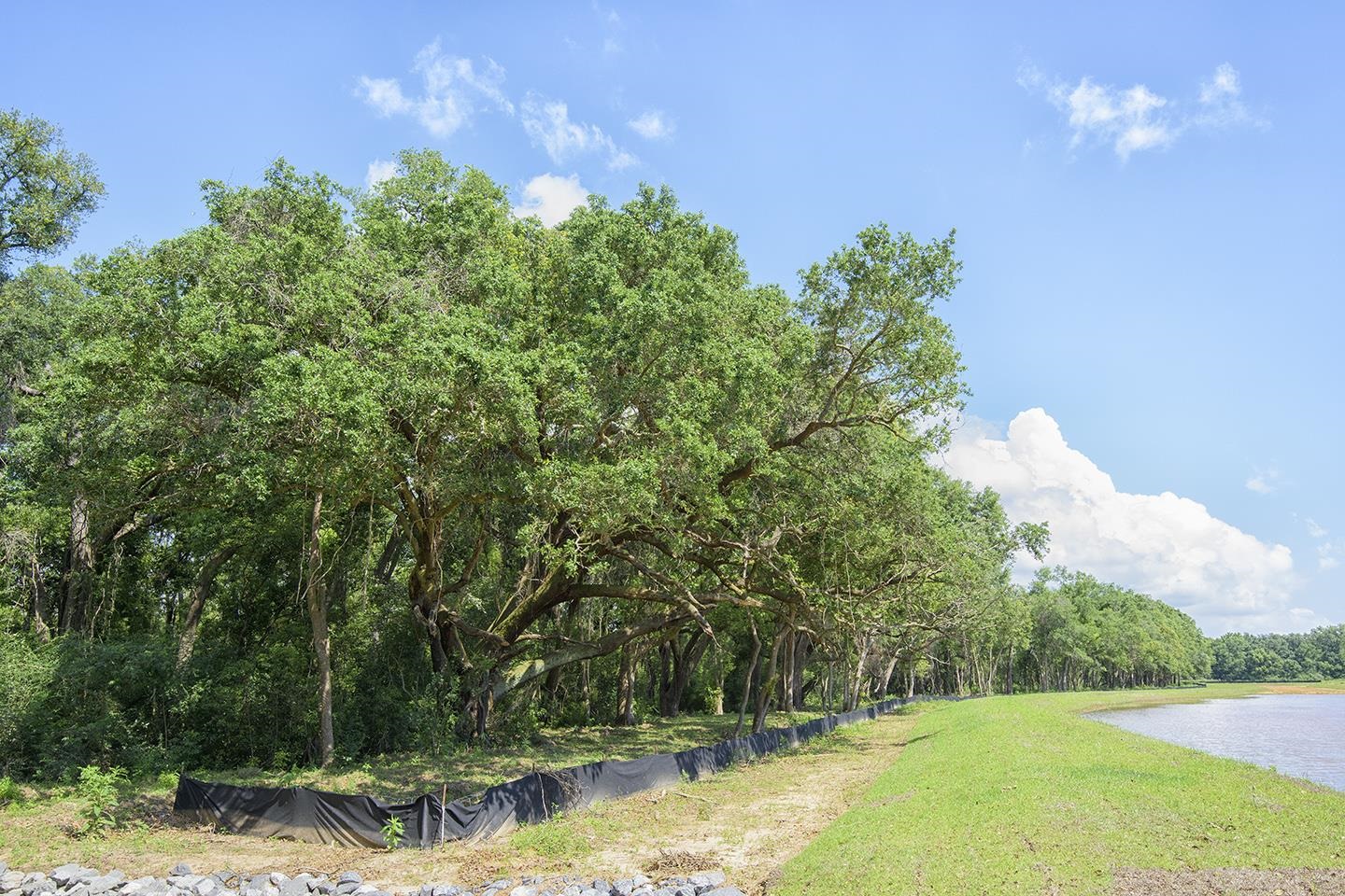 Lot 5 Vernant Park Road Foley, AL 36535 - Photo 4 of 4
