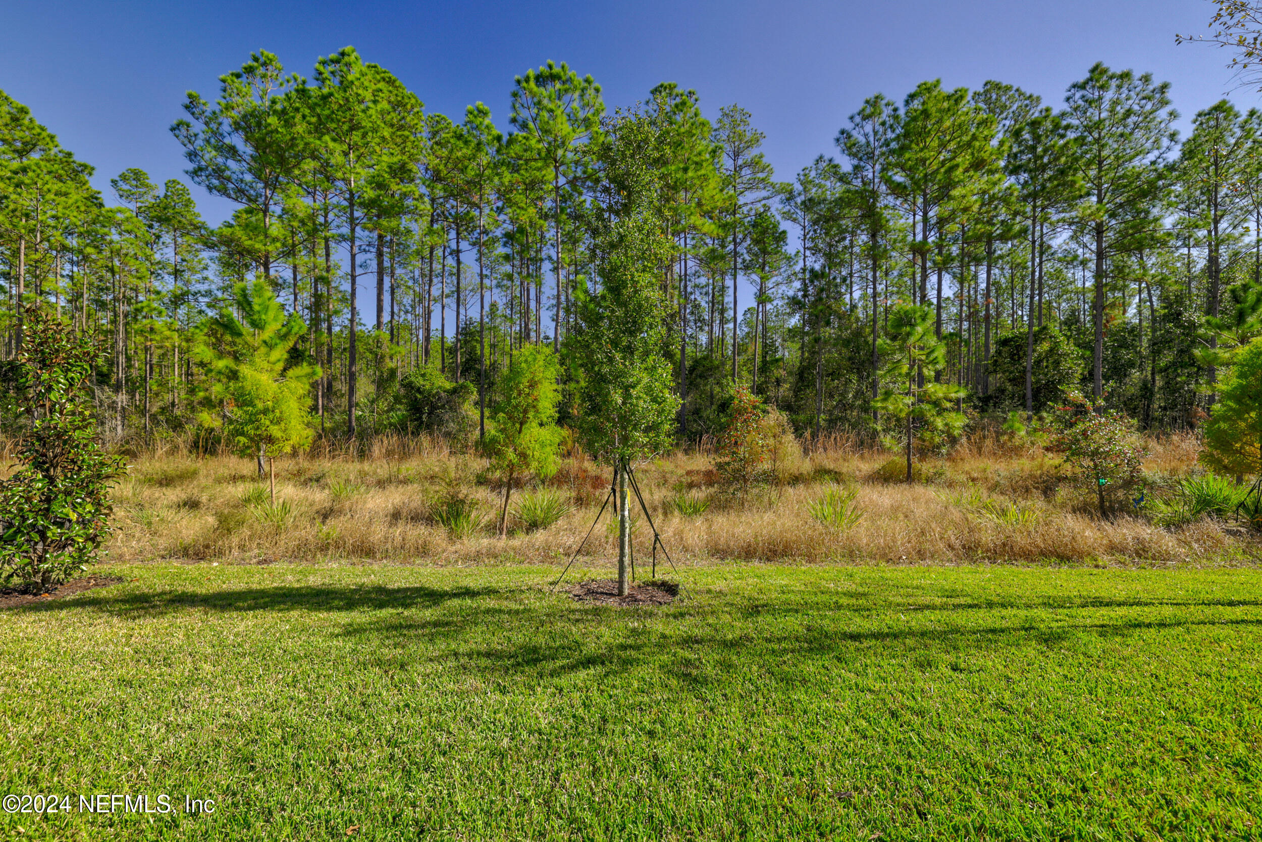 228 Elm Br Road St. Johns, FL 32259 - Photo 55 of 77 Backyard