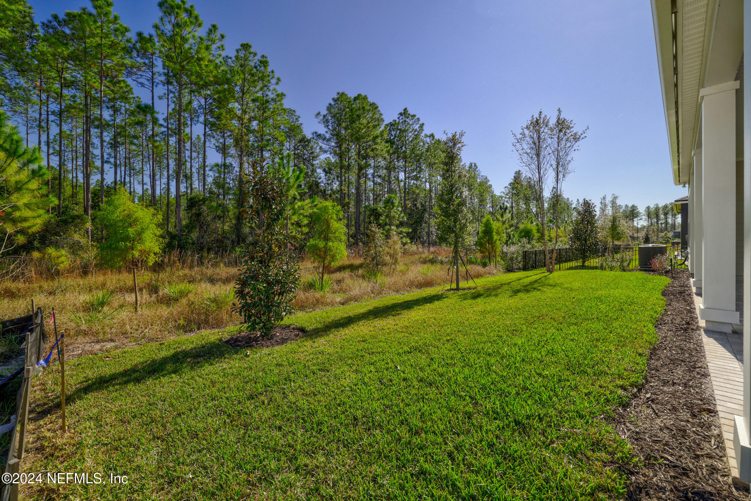 228 Elm Br Road St. Johns, FL 32259 - Photo 56 of 77 Backyard