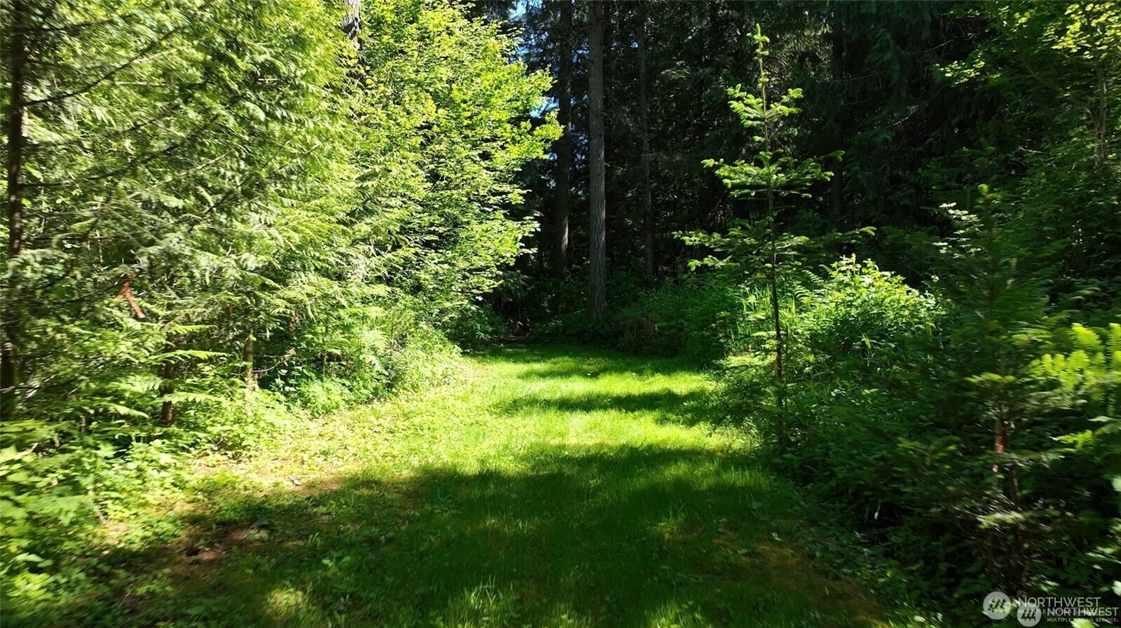 209 Alpha Way Onalaska, WA 98570 - Photo 35 of 40 a view of yard