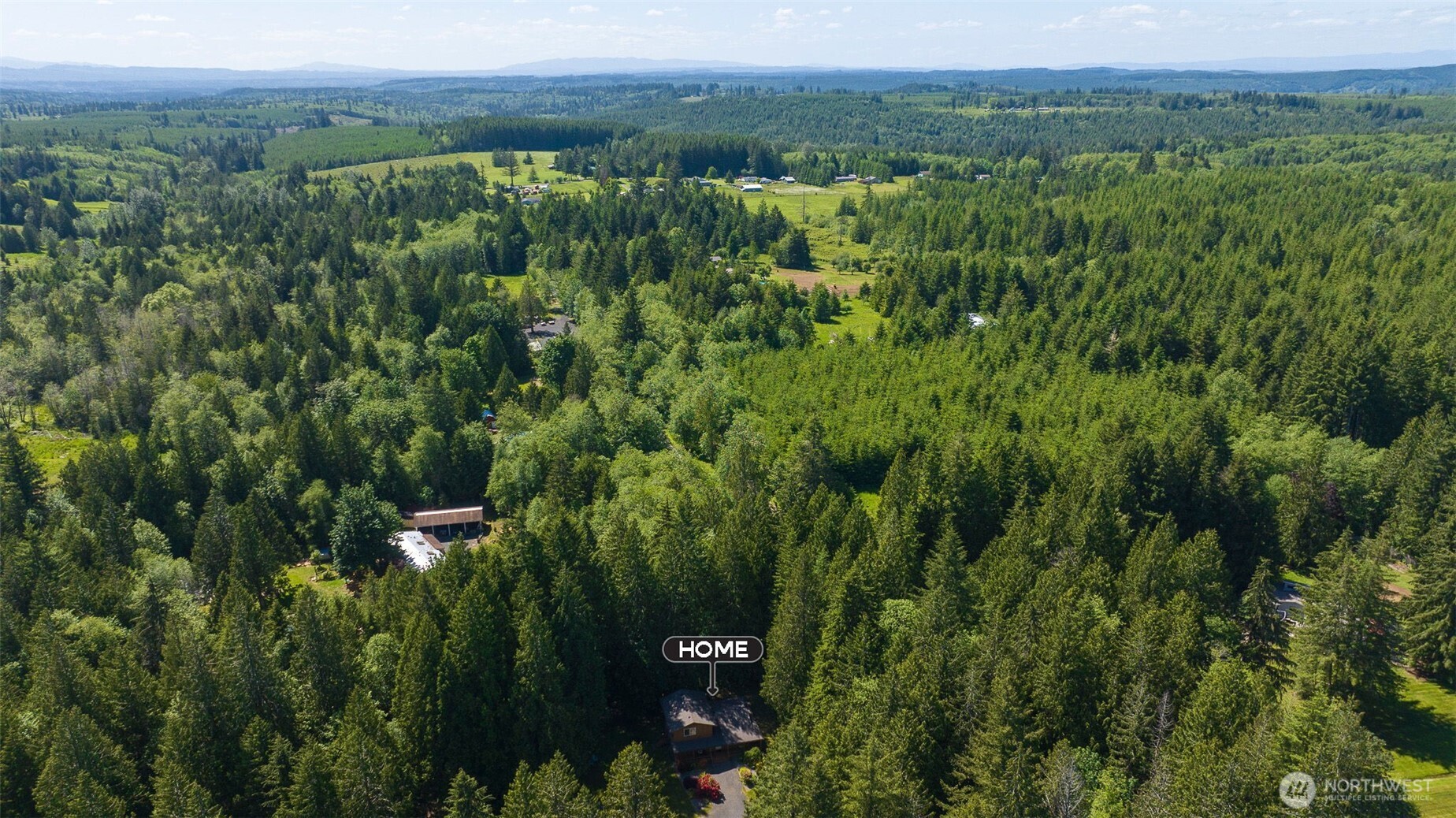 209 Alpha Way Onalaska, WA 98570 - Photo 37 of 40 a view of a lush green forest with trees in the background