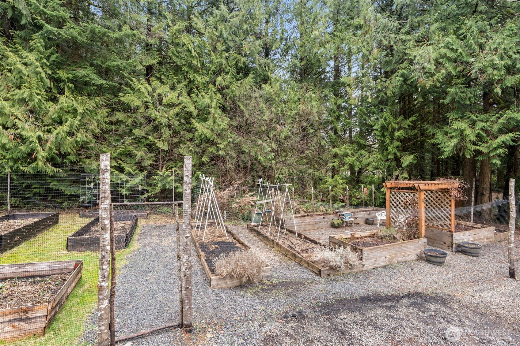 209 Alpha Way Onalaska, WA 98570 - Photo 39 of 40 a view of a backyard with sitting area