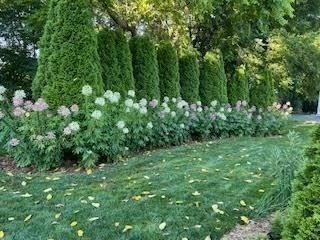 6 East Commons Drive, Unit 6 Hadley, MA 01035 - Photo 25 of 27 a view of a lush green forest