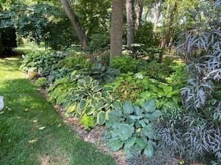 6 East Commons Drive, Unit 6 Hadley, MA 01035 - Photo 26 of 27 a view of a garden