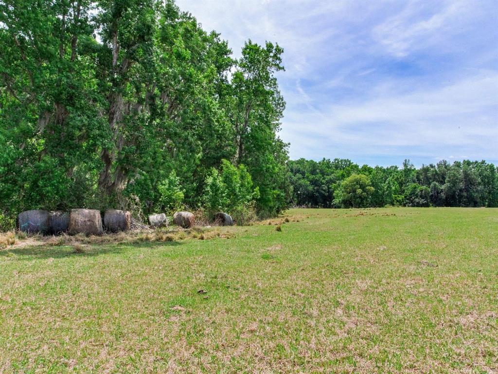 Spring Lake Highway Brooksville, FL 34602 - Photo 4 of 49 a view of outdoor space and yard