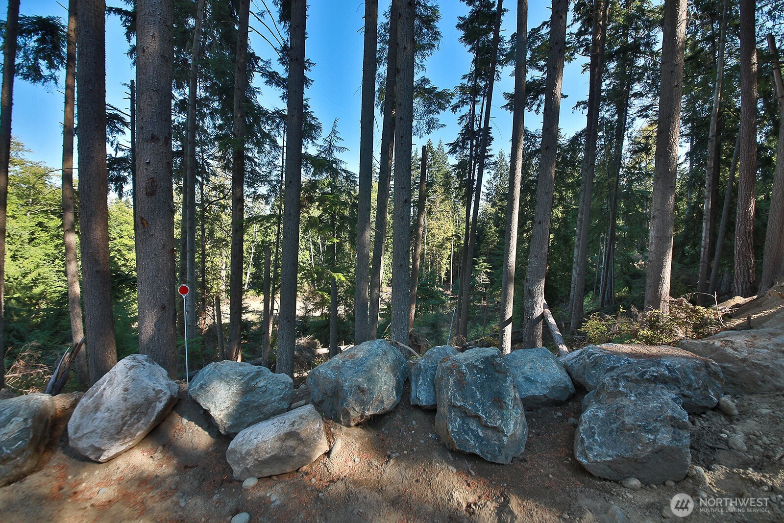 4935 Helppie Lane Freeland, WA 98249 - Photo 16 of 28 a backyard of a house with table and chairs