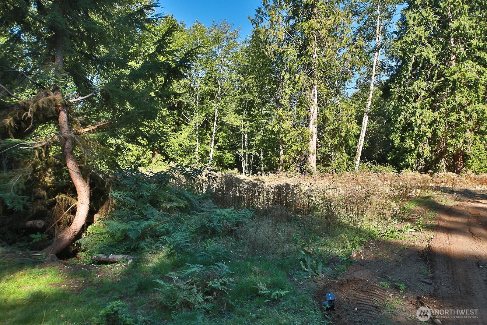 4935 Helppie Lane Freeland, WA 98249 - Photo 22 of 28 a view of yard with green space