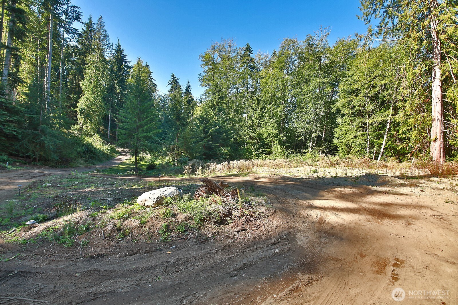 4935 Helppie Lane Freeland, WA 98249 - Photo 5 of 28 a view of a yard with yellow lighting