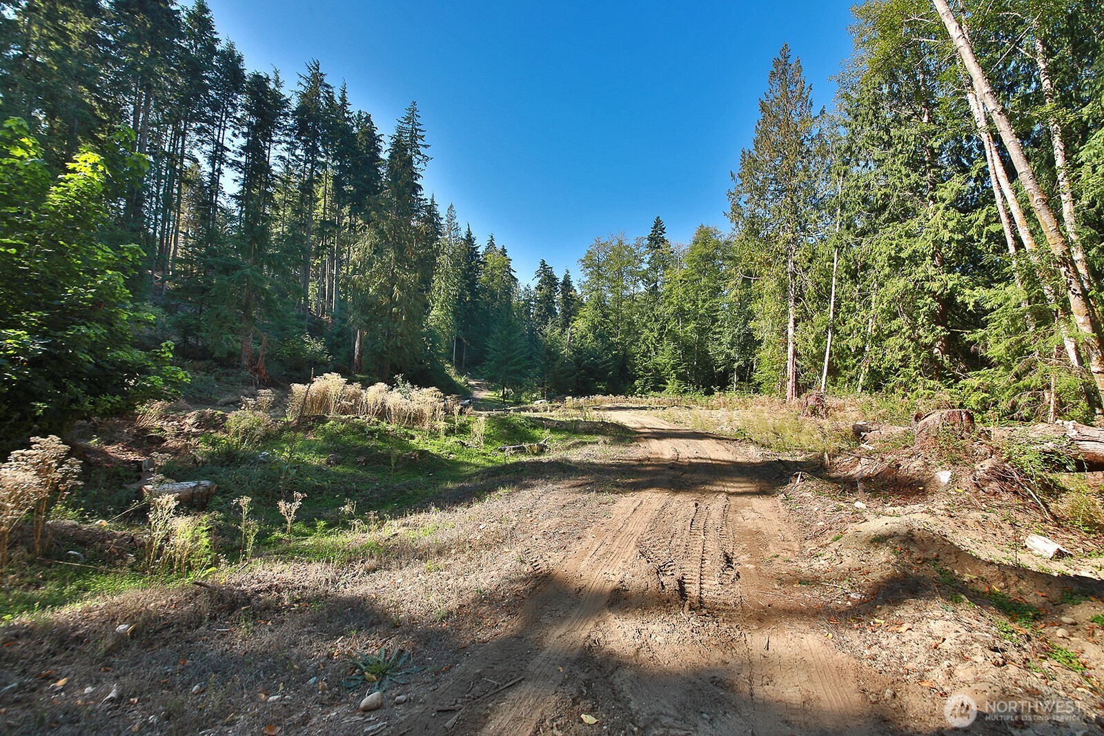 4935 Helppie Lane Freeland, WA 98249 - Photo 8 of 28 a view of yard