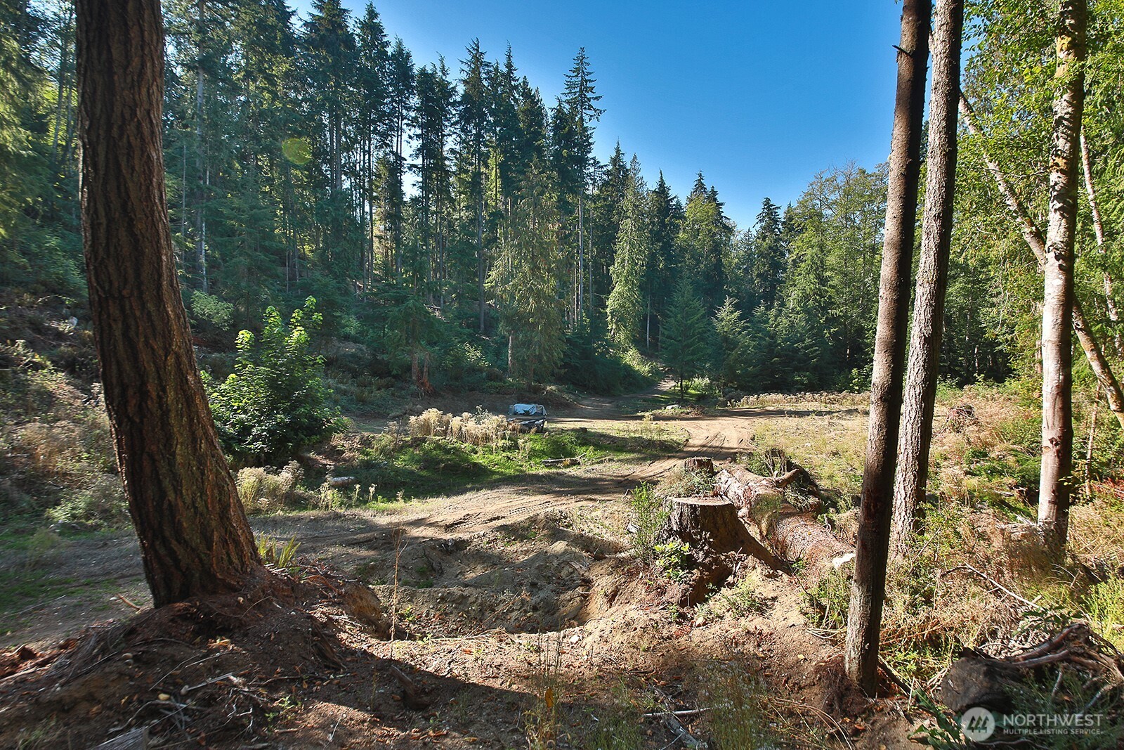 4935 Helppie Lane Freeland, WA 98249 - Photo 9 of 28 a view of a yard with large tree