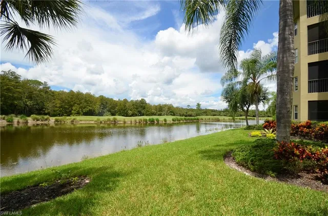 a view of a lake with a yard and palm trees