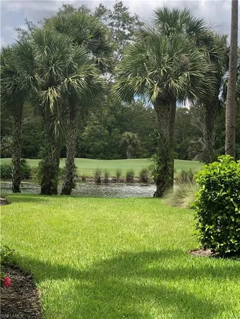 a view of a yard with a tree