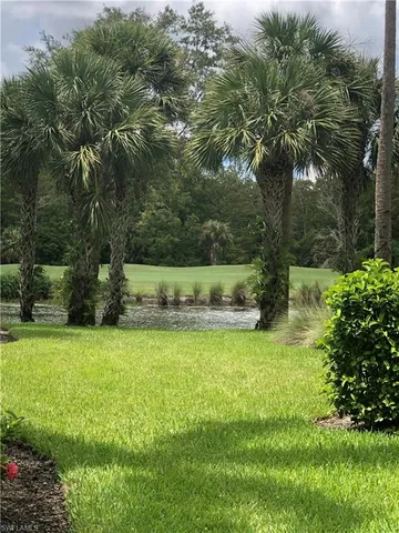 a view of a yard with a tree