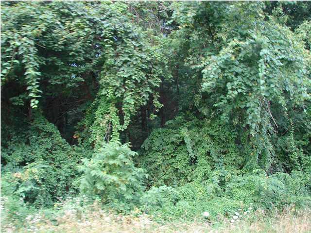 0 Jewell Road Dayton, TN 37321 - Photo 1 of 3 Primary Photo