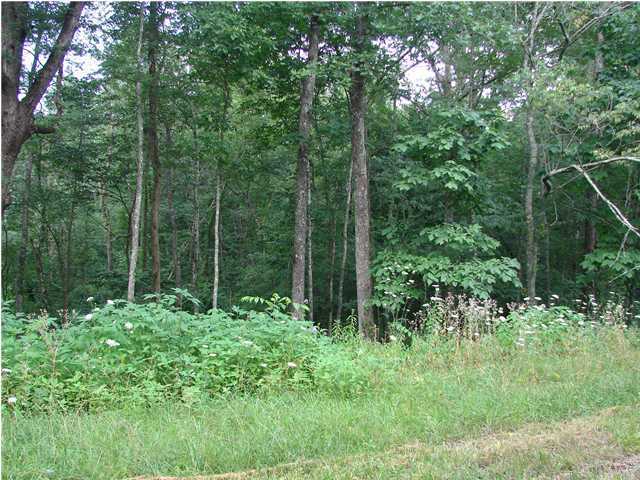 0 Jewell Road Dayton, TN 37321 - Photo 2 of 3 Additional Photo