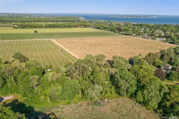 a view of an ocean and a mountain