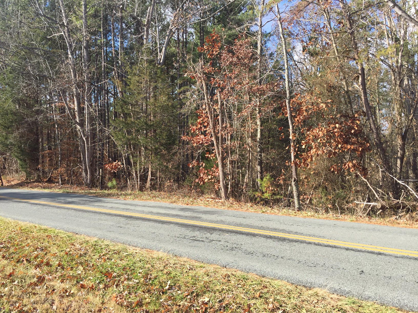 0 Lovely Valley Road Moneta, VA 24121 - Photo 2 of 4 IMG_8714