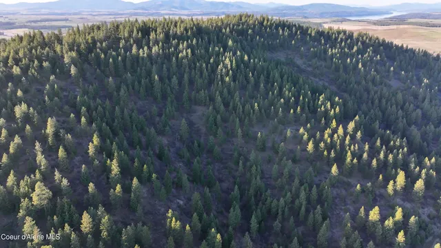 $196,460 | 17.86 Acres, Worley, ID 83876