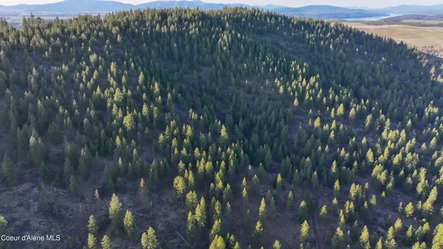 $196,460 | 17.86 Acres, Worley, ID 83876