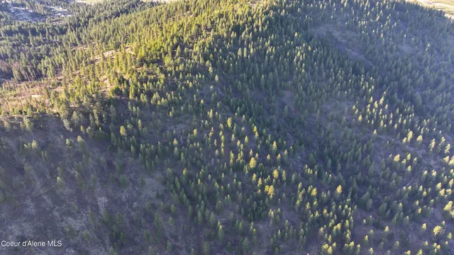 $196,460 | 17.86 Acres, Worley, ID 83876