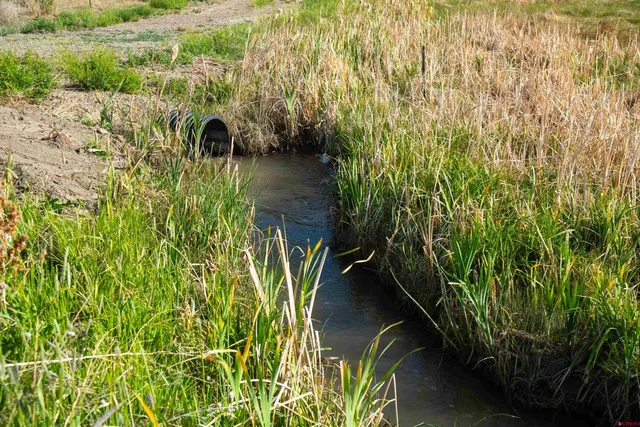 a view of grassy field with mountain