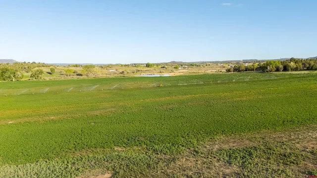 a view of an ocean from a city