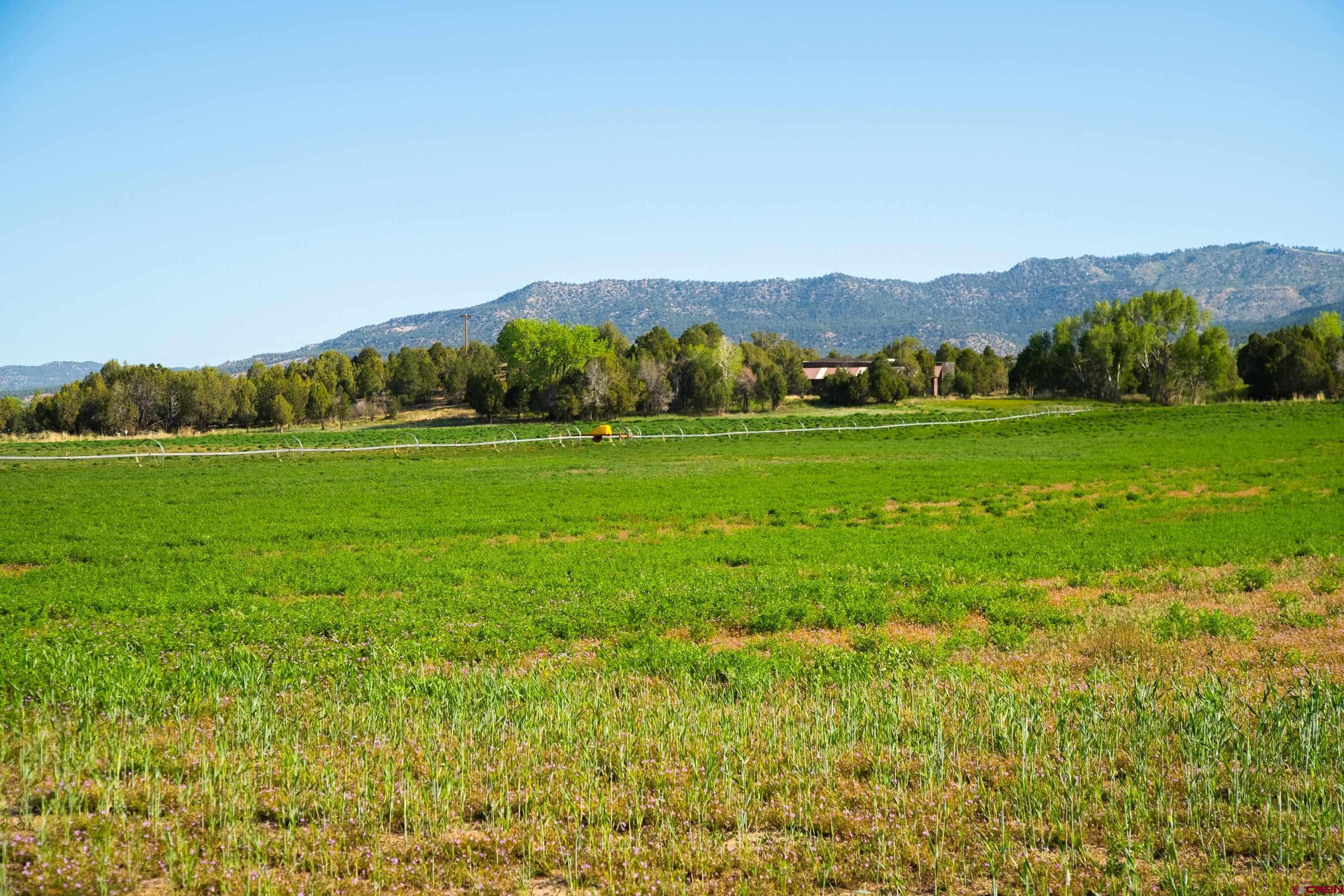 777 County Road 977 Ignacio, CO 81137 - Photo 2 of 45 a view of grassy field with mountain